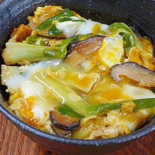 「浅葱の卵とじ皿」＆リメイク「夜食の卵丼」